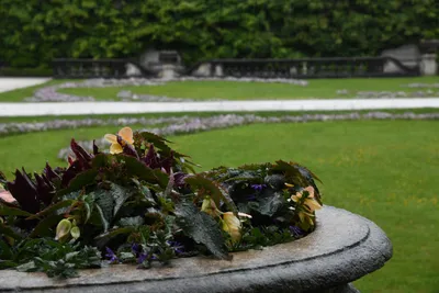 DSC_6129 (Large).JPG